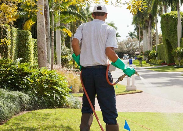 About Ethel LA Pest Control